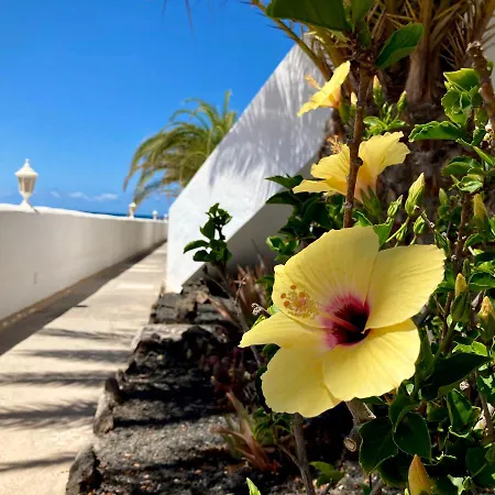 La Concha Seaview Direct At The & Sea Apartment *