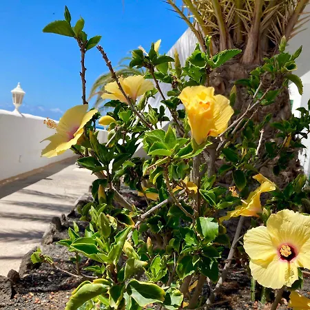 La Concha Seaview Direct At The & Sea El Cotillo (Fuerteventura)